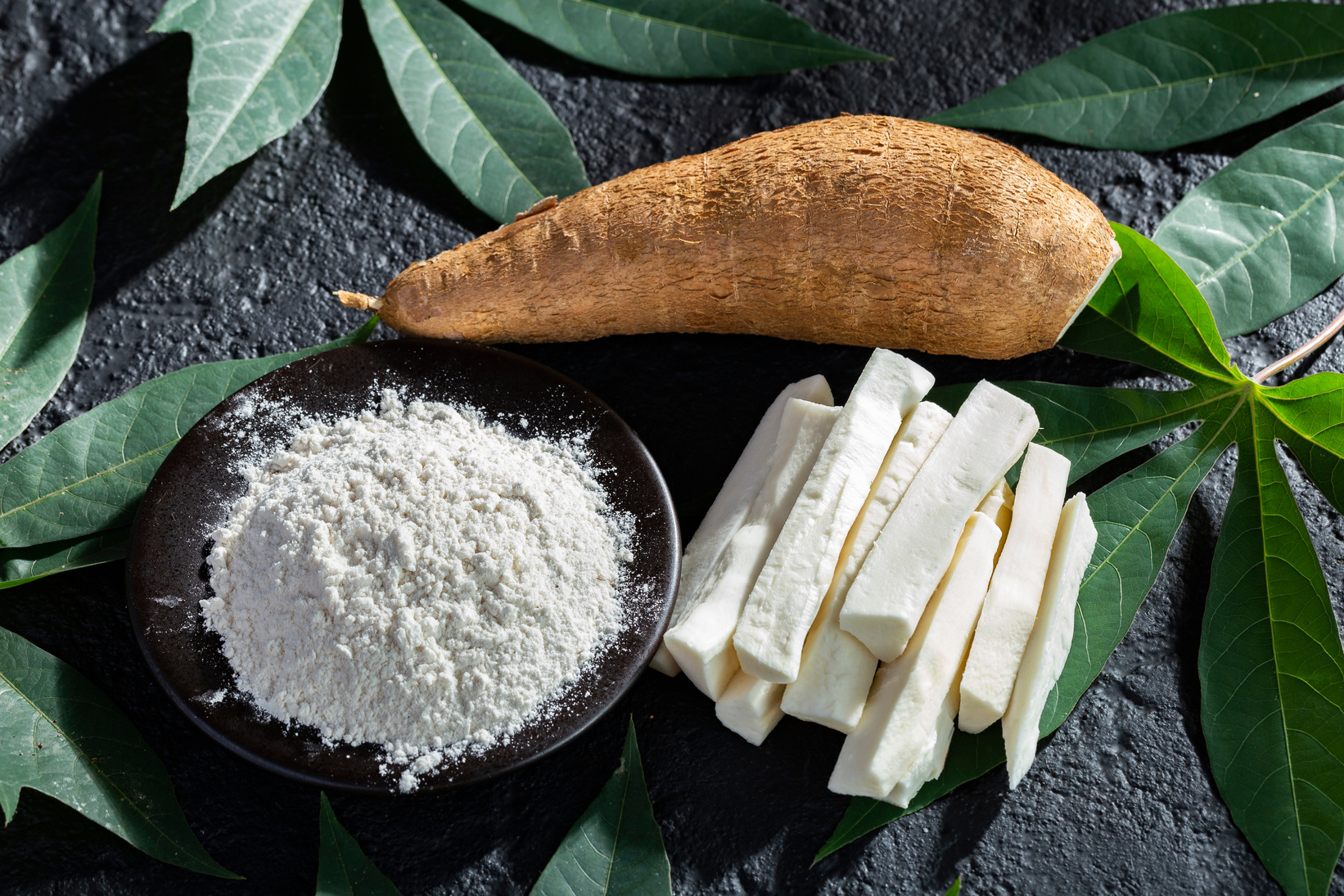 pile of cassava fruit and cassava flour on a background of rustic and dark texture (Manihot esculenta)